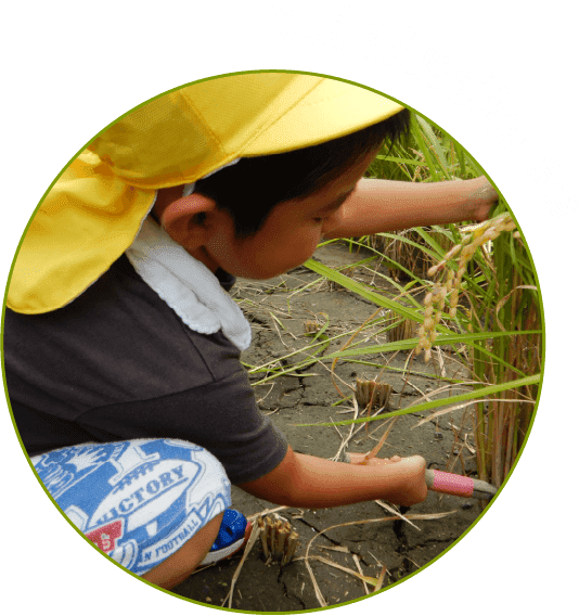Food education 食育